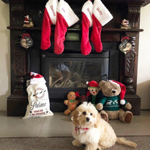 Load image into Gallery viewer, Personalised Christmas Pet Santa Sacks - Dog / Cat

